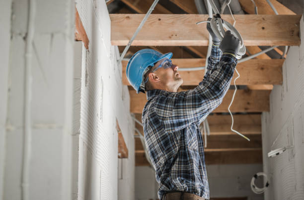 Best Ceiling Fan Installation Electrician  in Monticello, IL