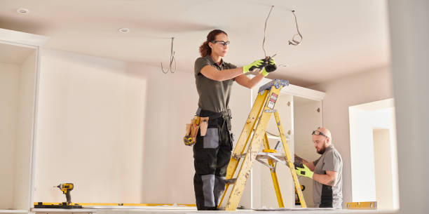 Best Electric Panel Repair  in Monticello, IL