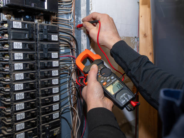 Best Ceiling Fan Installation Electrician  in Monticello, IL